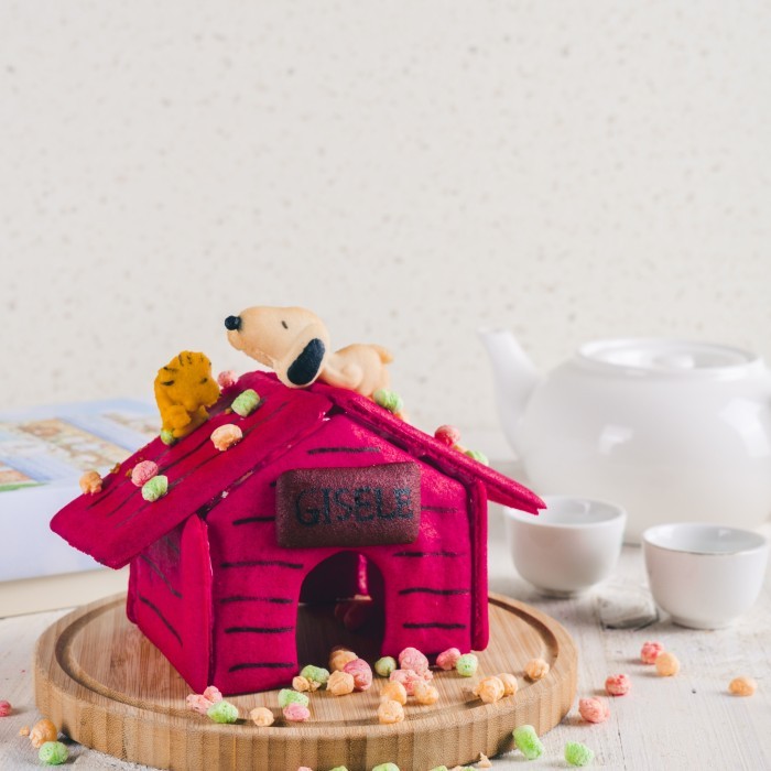 

Ready Snoopy and woodstock house activity