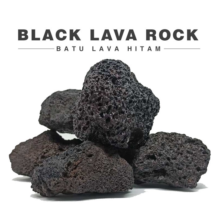 TERLENGKAP Batu Lava Rock Hitam / Black Lava Rock Stone Aquascape Aquarium 1Kg