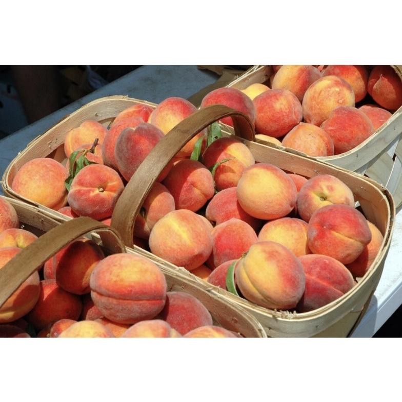 

Peach White USA | Buah Persik Premium 500grm