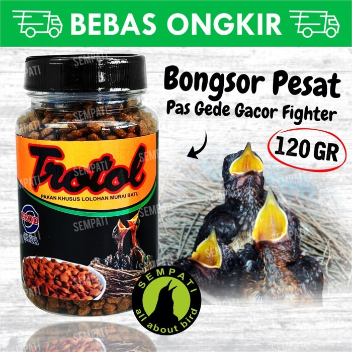 TERBARU PAKAN LOLOH BURUNG MURAI TROTOL PREMIUM EBOD JAYA TOPLES LOLOHAN TROBT