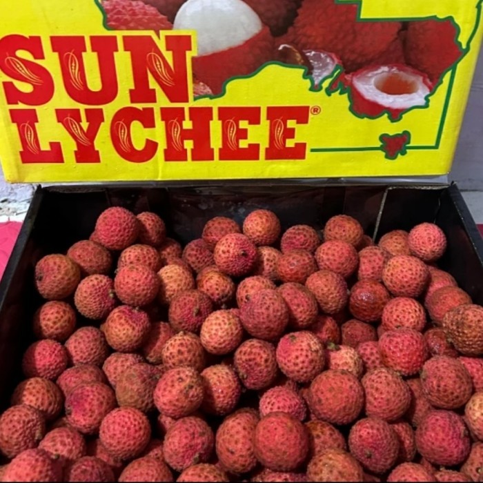 

Lychee Merah Fresh Import / Buah Lychee Merah / Leci Merah Super / 500 grm