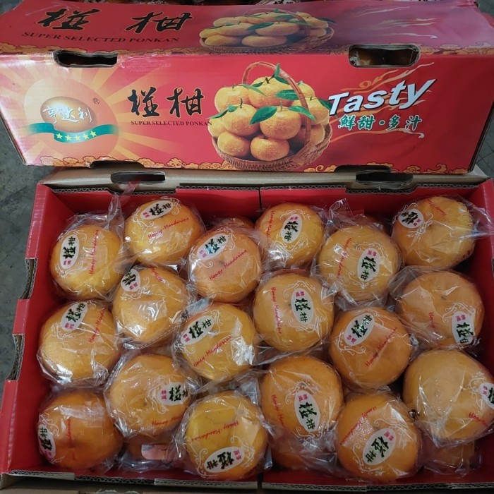 

Buah Jeruk Ponkam Tasty isi 36 pis/Jeruk import fresh, enak/Kado