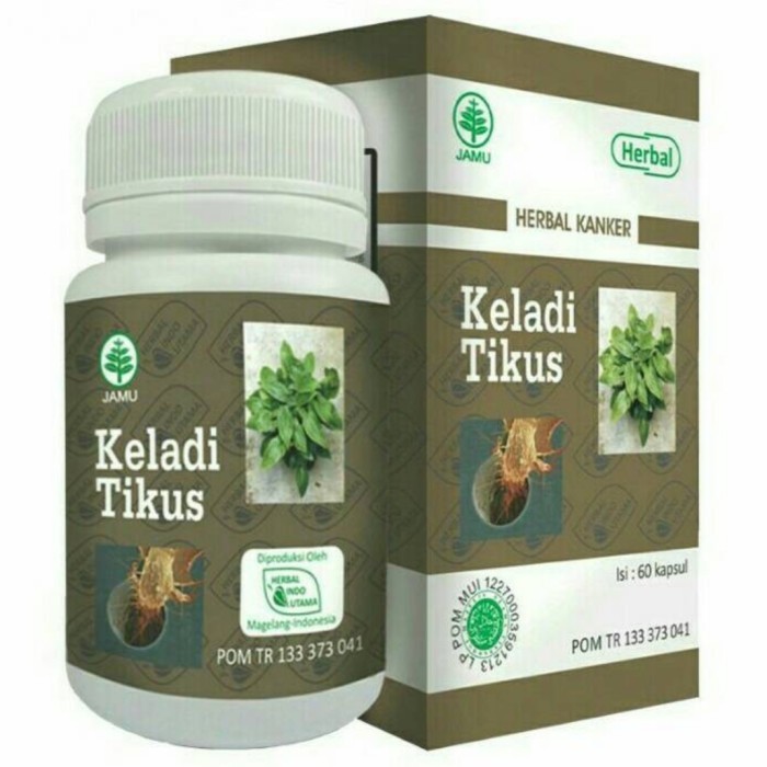 

ORIGINAL HIU Keladi Tikus Herbal Kanker PREMIUM