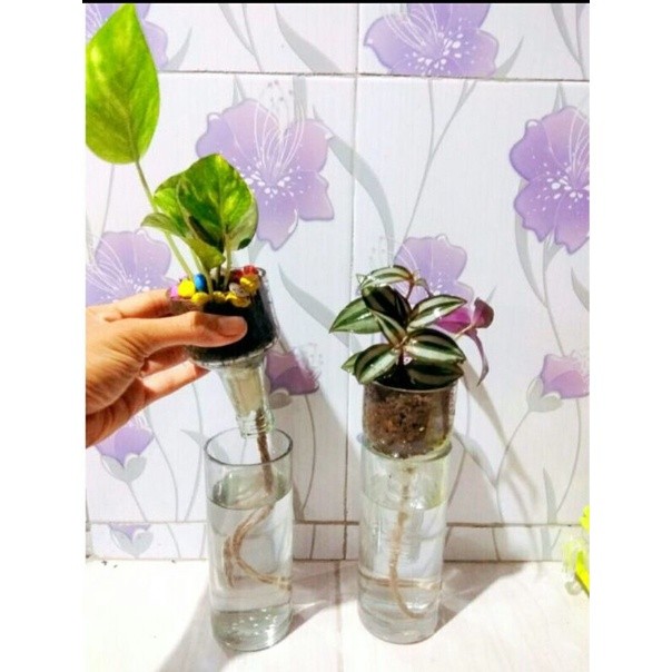 Best Seller Vas Bunga Kaca Minimalis Pot Tanaman Air Botol Hidroponik Hias Unik