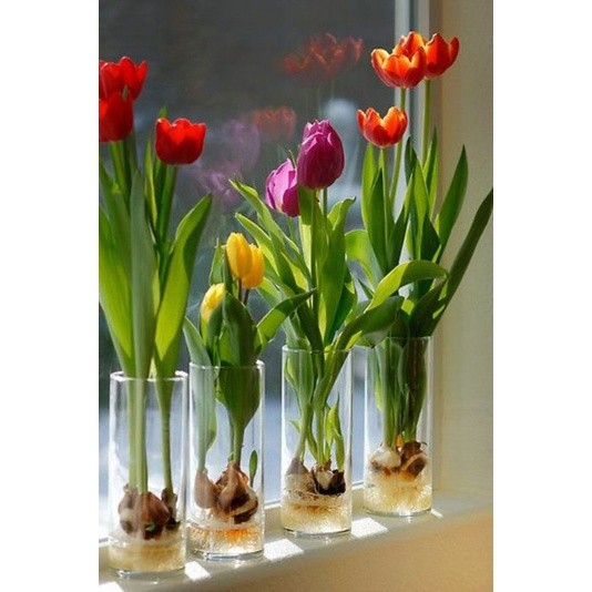 Produk Terbaru  (Termurah) Vas Kaca Tinggi Vas Kaca Tali Rami Vas Bunga Kaca Bening Vas Kaca Bening