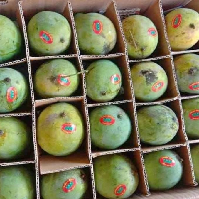 

mangga harum manis masak pohon 1 dus