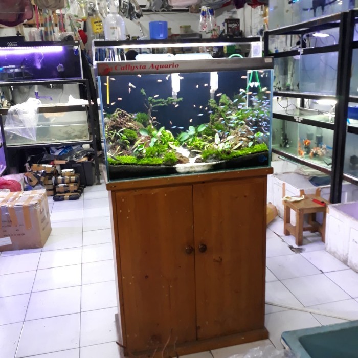NEW PAKET LENGKAP AQUARIUM AQUASCAPE FULLSET