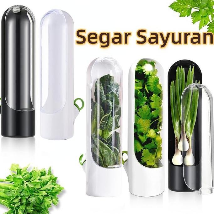 

SEGAR SAYURAN/WADAH BAWANG WADAH TEMPAT/HERB STORAGE TEMPAT DAUN BAWANG SELEDRI KEMANGI HERB KEEPER VEGETABLE /VEGETABLE HERB STORAGE ORIGINAL