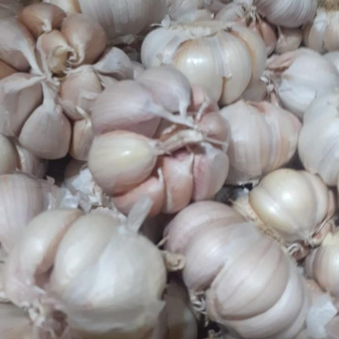 

BAWANG PUTIH BANCI/BAWANG PUTIH KERING FRESH 1KG ORIGINAL