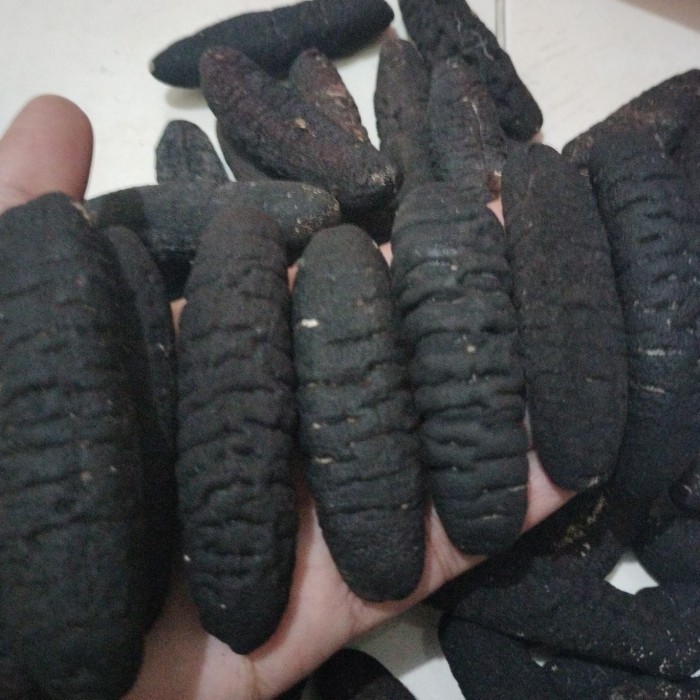

teripang/haisom/hoisem/gosok/belitung uk 25-30ekor/1kg