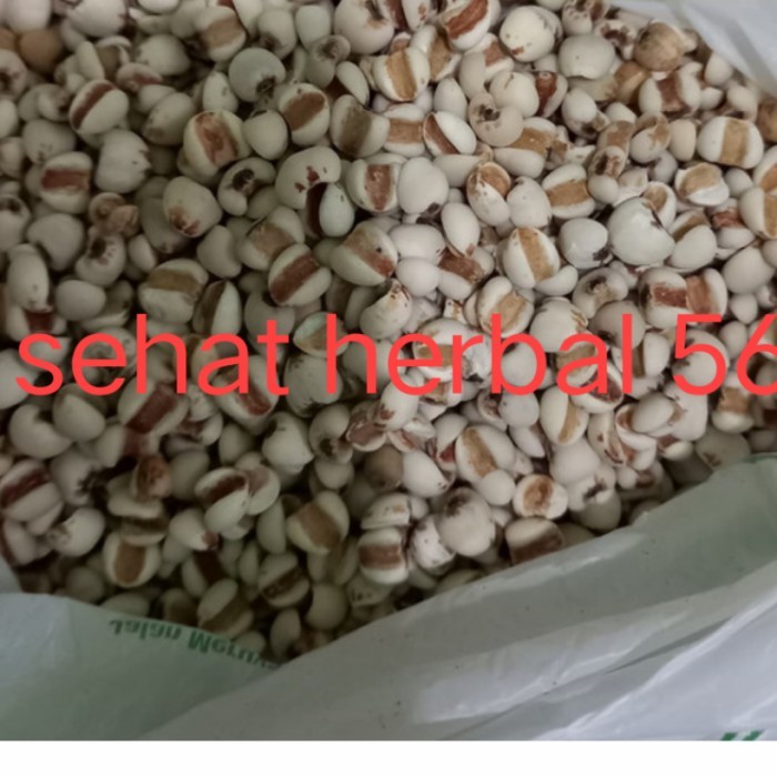 

Barley super / Biji jali jali 1kg