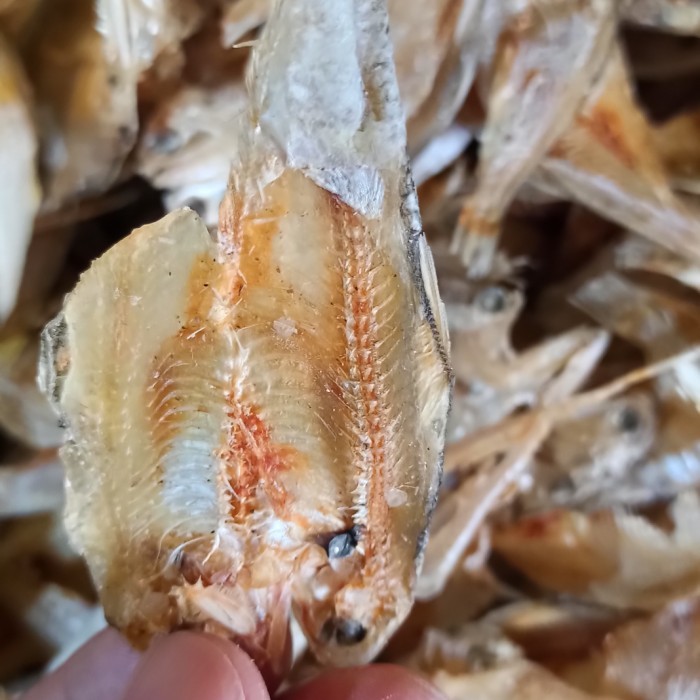 

Ikan Asin Bilis Tawar 1kg
