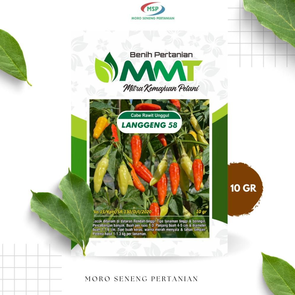 

Today CABE RAWIT LANGGENG 58