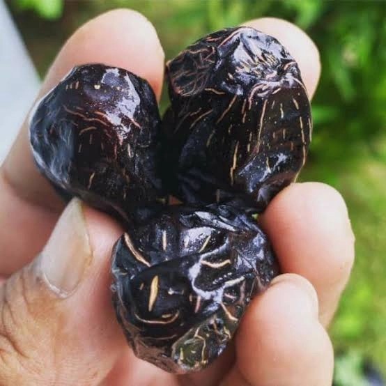 

Kurma Ajwa Aliyah 1Kg/Kurma Ajwa Aliyah Premium/Kurma Ajwa Nabi Asli