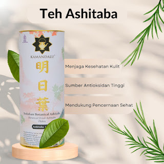 

Teh Ashitaba - Menenangkan Pikiran dan Menyembuhkan Tubuh