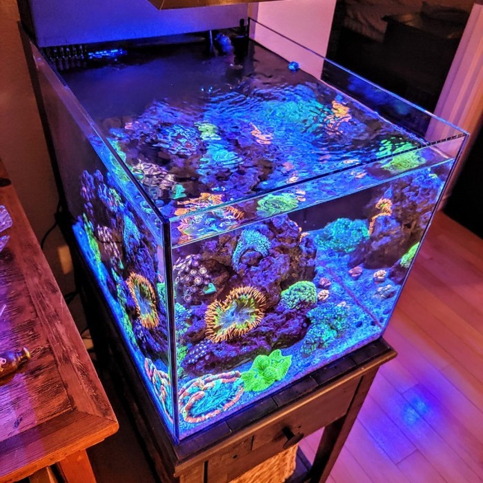 Aquarium laut filter belakang 60x40x40 All in One Tank Reef KUBUS 96