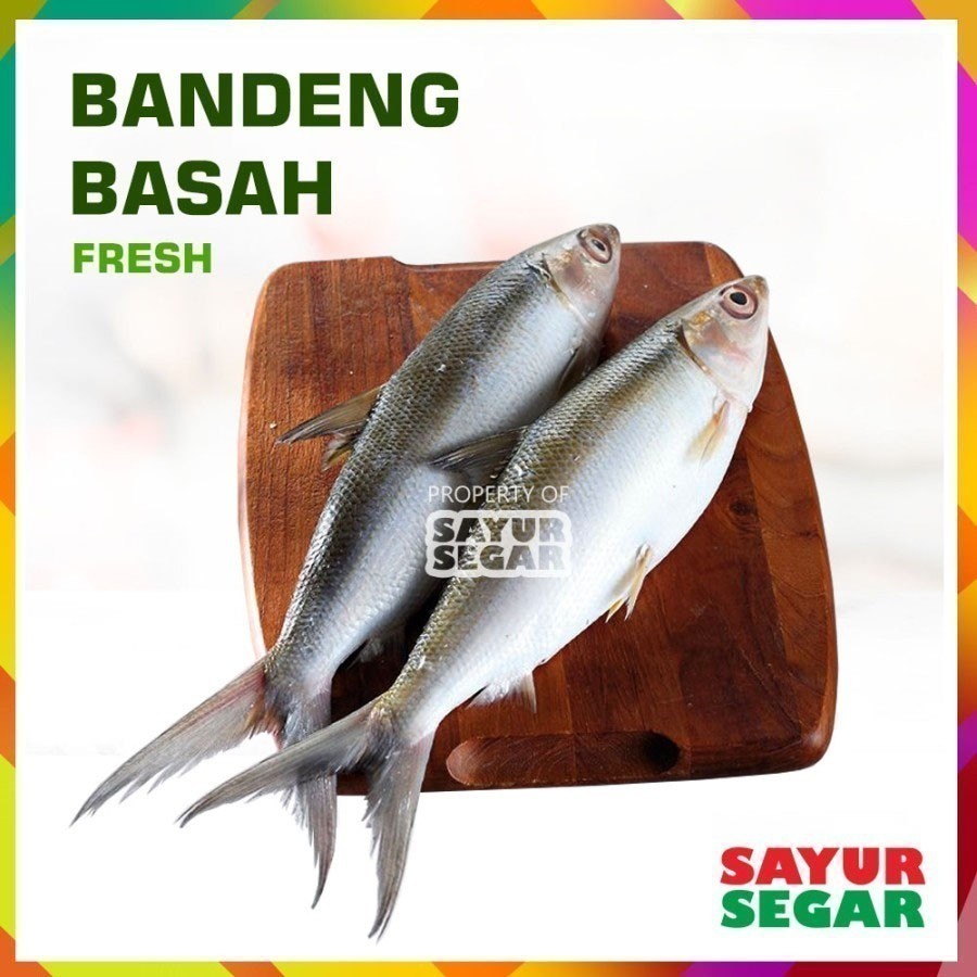 

[DEPOK] IKAN BANDENG [500g] FRESH