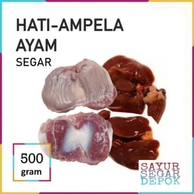 

HATI AMPELA / ATI AMPELA AYAM
