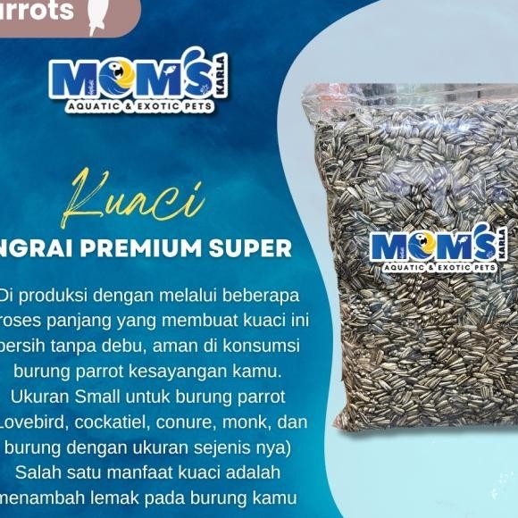 

Uaci Angrai Burung Parrot Tanpa Bahan Gawet 1G