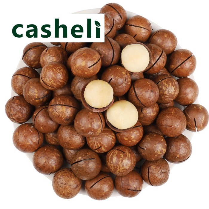 

Macadamia Nuts In Shell Besar Panggang 1Kg Kacang Macadamia Kulit