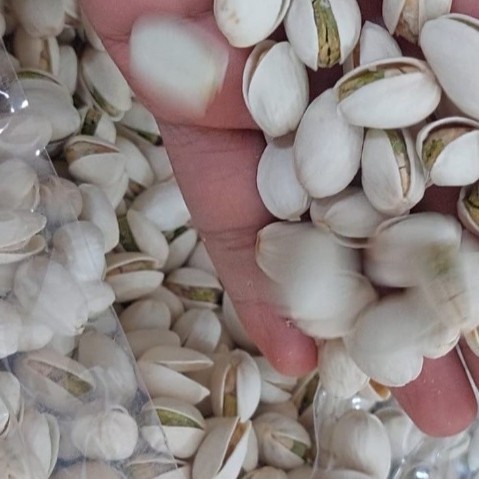 

Pistachio 1Kg
