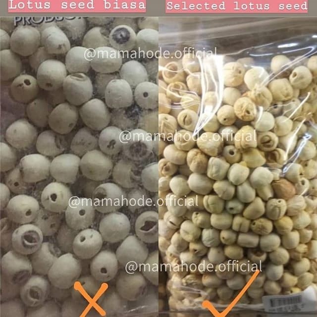 

Biji teratai / lotus seed pilihan