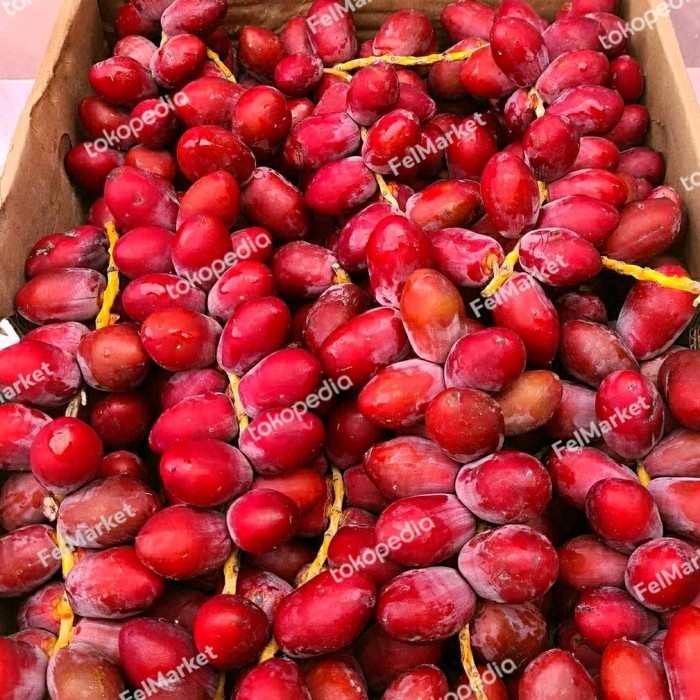 

Kurma muda merah fresh buah kurma muda segar 500 grm