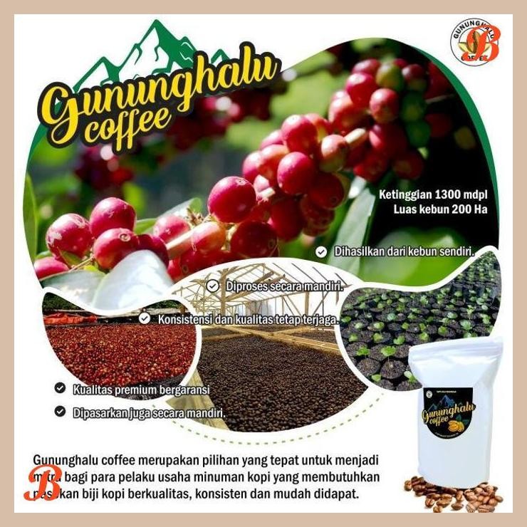 

| MA | GREEN BEAN ARABIKA - GUNUNG HALU COFFEE - HONEY - 1 KG.