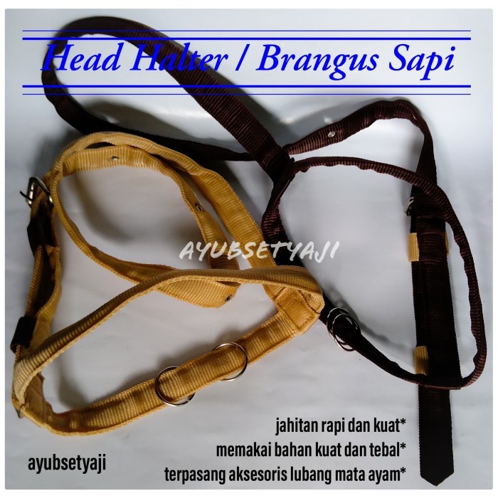 My Brangus Sapi Head Halter Ikat Kepala Sapi Kalung Sapi Tali Tuntun Sapi