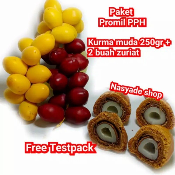 

1 Paket Promil Hemat ( Kurma Muda 250G + 2 Buah Zuriat)