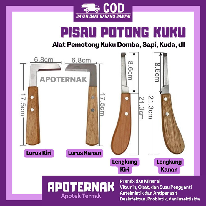 terbaru  pisau potong kuku sapi komplit alat potong kuku sapi ready