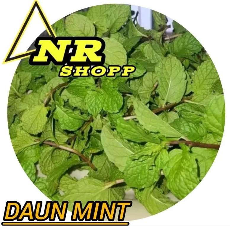 

PAKET 100GRAM DAUN MINT SEGAR PETIK LANGSUNG