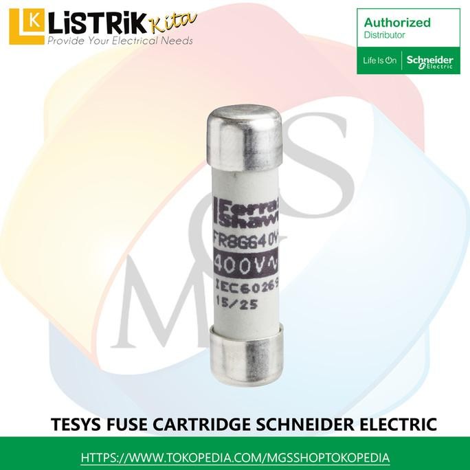 FUSE SCHNEIDER FUSE-DISCONNECTOR FUSE CARTRIDGE 10X39MM AM 2A