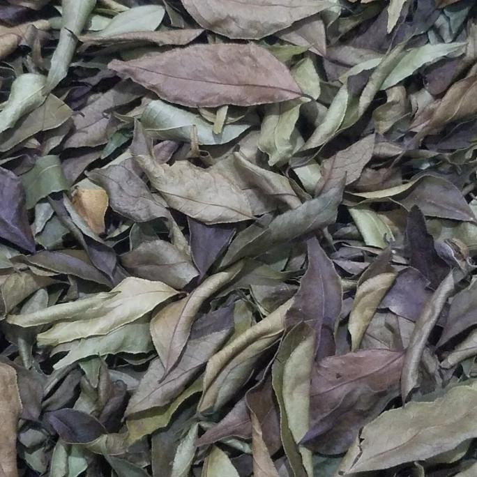 

hanya disini] DAUN KARI KERING 100G / Daun Salam Koja Kering