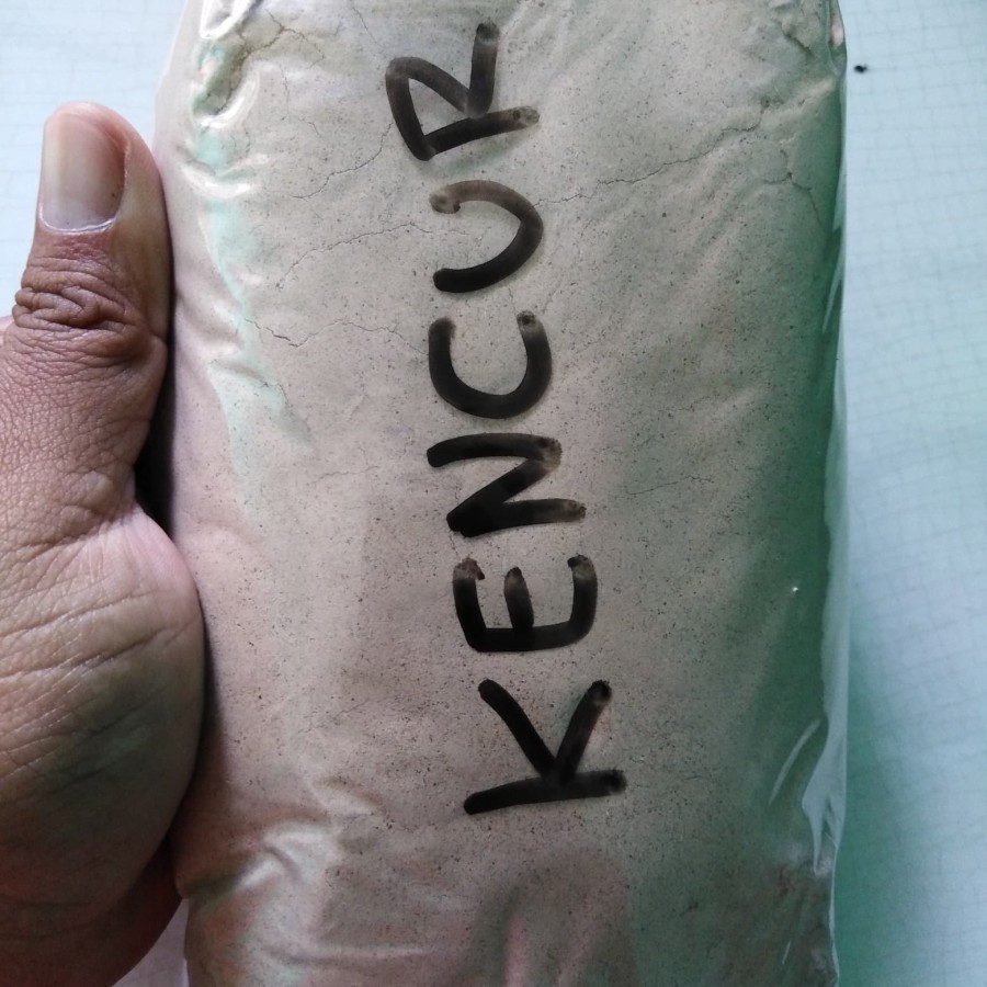 

Kencur Murni Bubuk 500gram