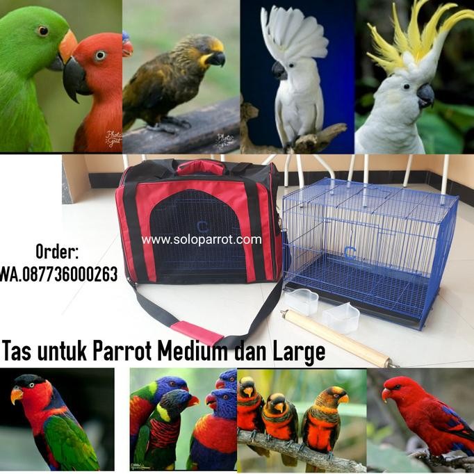 Buruan beli] Tas untuk Bawa Burung Parrot Nuri Afgrey Kakatua dll