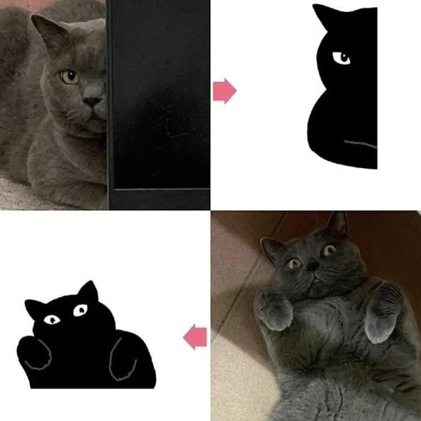 

Terlari 1 Et Boomar Bla Cat Magnet Pembata Buu Ucing Readyy