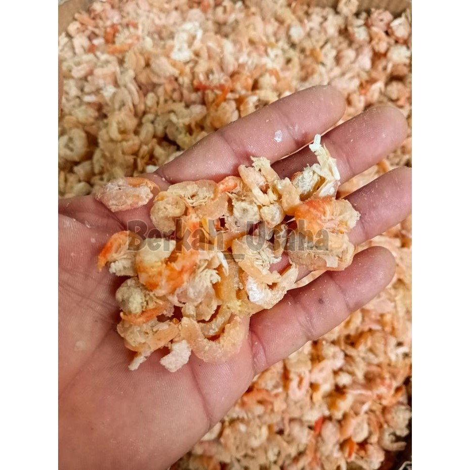 

Terbaru IKAN ASIN UDANG EBI KUPAS KERING 1kg Murah grosir Ready