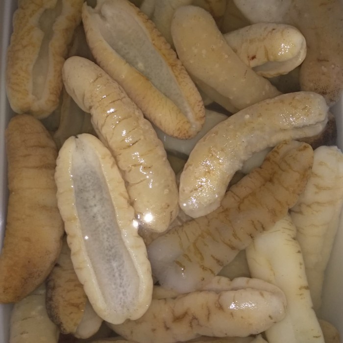 

HAISOM/HOISEM/TERIPANG GOSOK ASLI BELITUNG