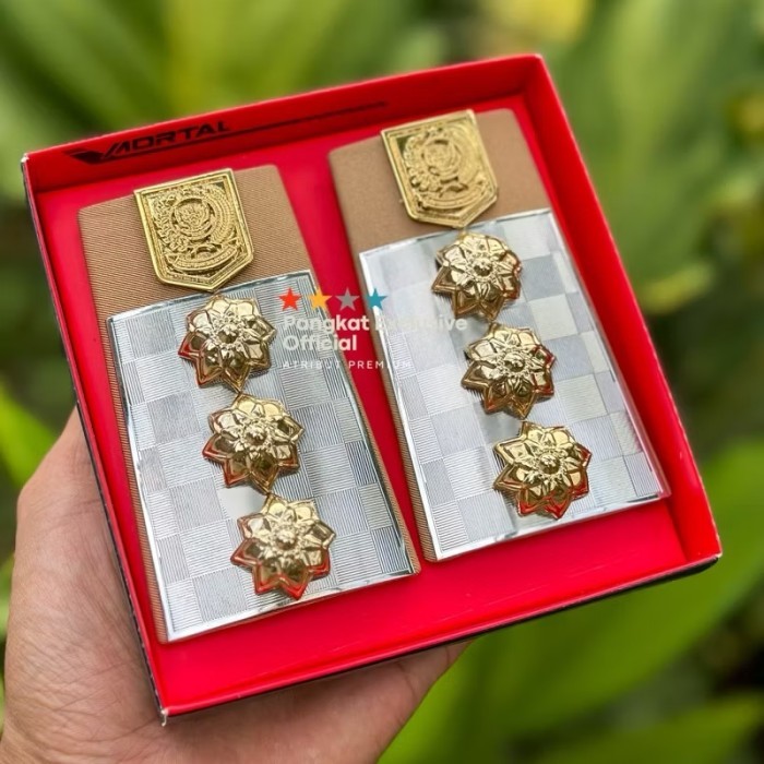 Town Pangkat Bupati Pdh Bupati Pdu Bupati - Mortal