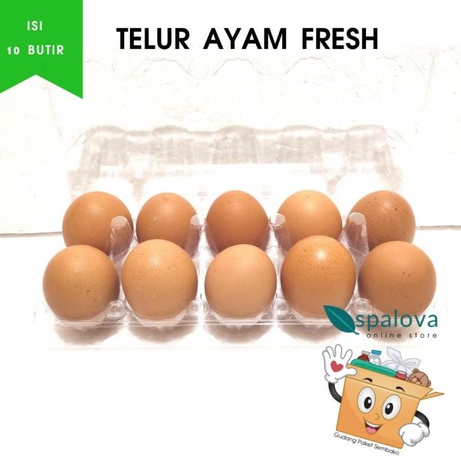 

READY TELUR AYAM SEGAR KEMASAN BOX