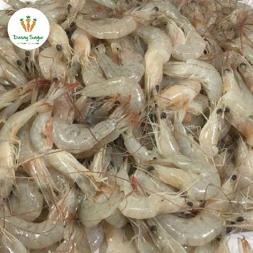 

Udang Kecil Segar - 500gram