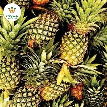 

Buah Nanas Manis Utuh - 1 pcs