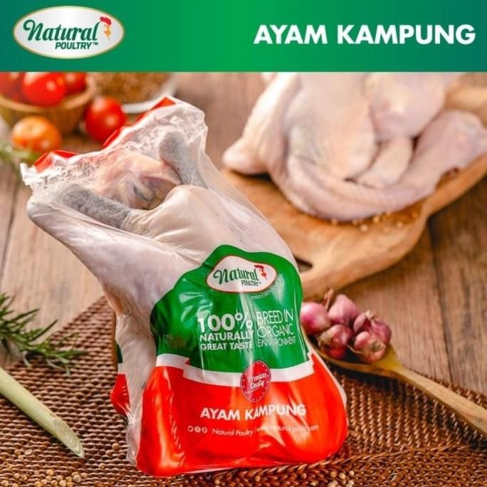 

READY AYAM KAMPUNG ORGANIC & PROBIOTIK