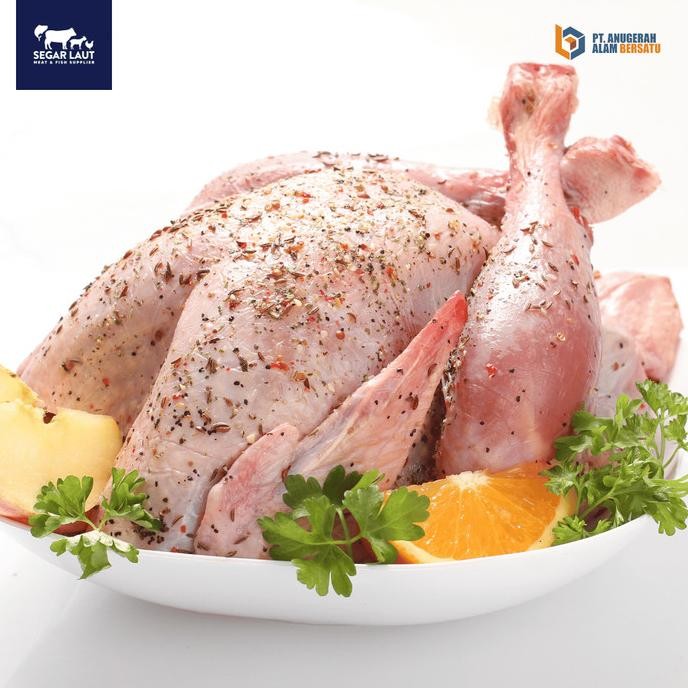 READY AYAM KAMPUNG MUDA UTUH (WHOLE)