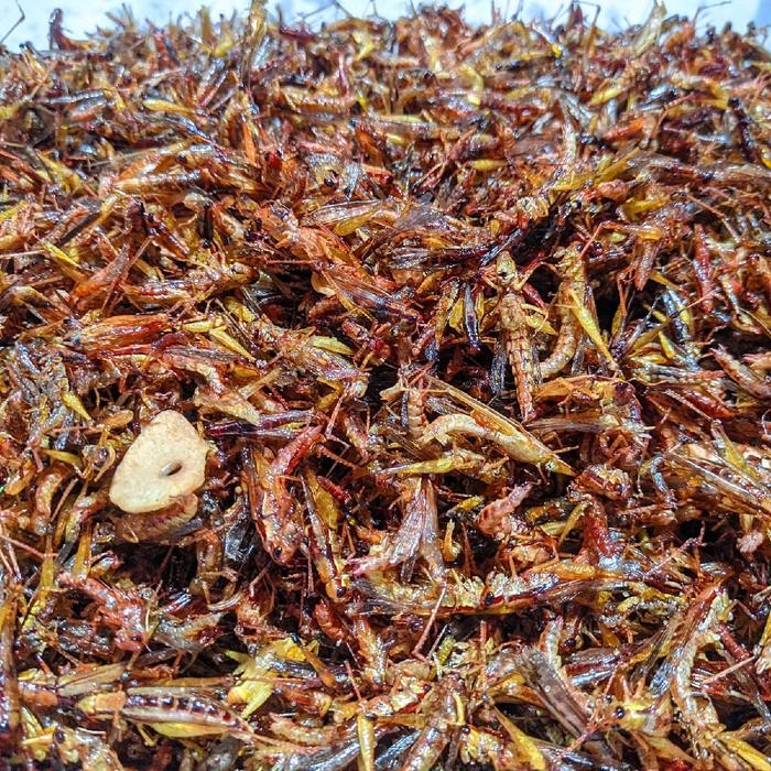 

BIG SALE Belalang goreng utis/KECIL termurah toples warna 175gr 4 varian rasa Makanan Pedas Asin