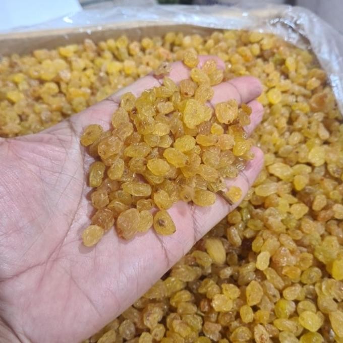 

paling diminati] Raisin Raisins Kismis MUTIARA SIMIN Kuning Emas Tanpa Biji 500 gr gram