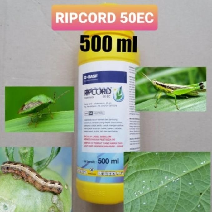 Obat Hama Tanaman Ripcord 50 EC 500 ml Insektisida ABD