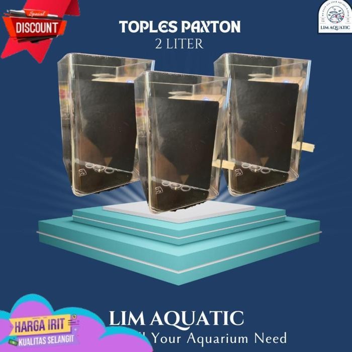 TRENDING TOPLES PAXTON 2 LITER / TOPLES CUPANG / AQUARIUM CUPANG
