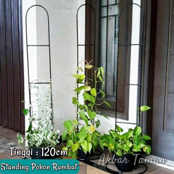 Standing Besi Pohon Rambat / Rak Pot Tanaman Besi Rambat Tinggi 120cm BS81